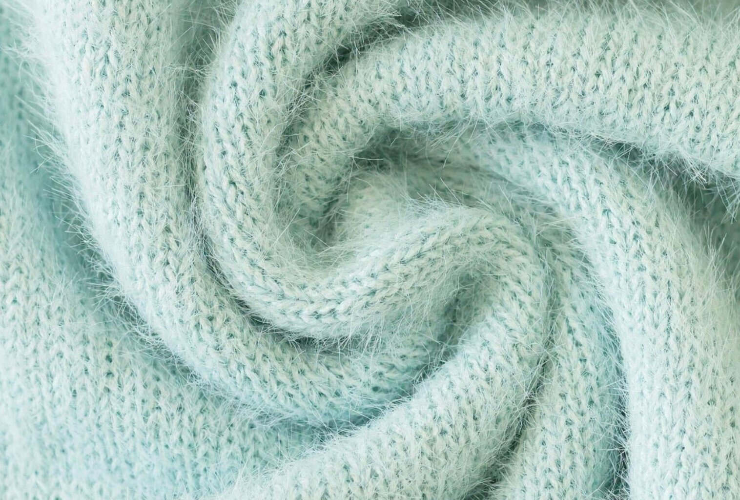 gros-plan-angora