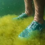chaussures-bleues-sur-algues