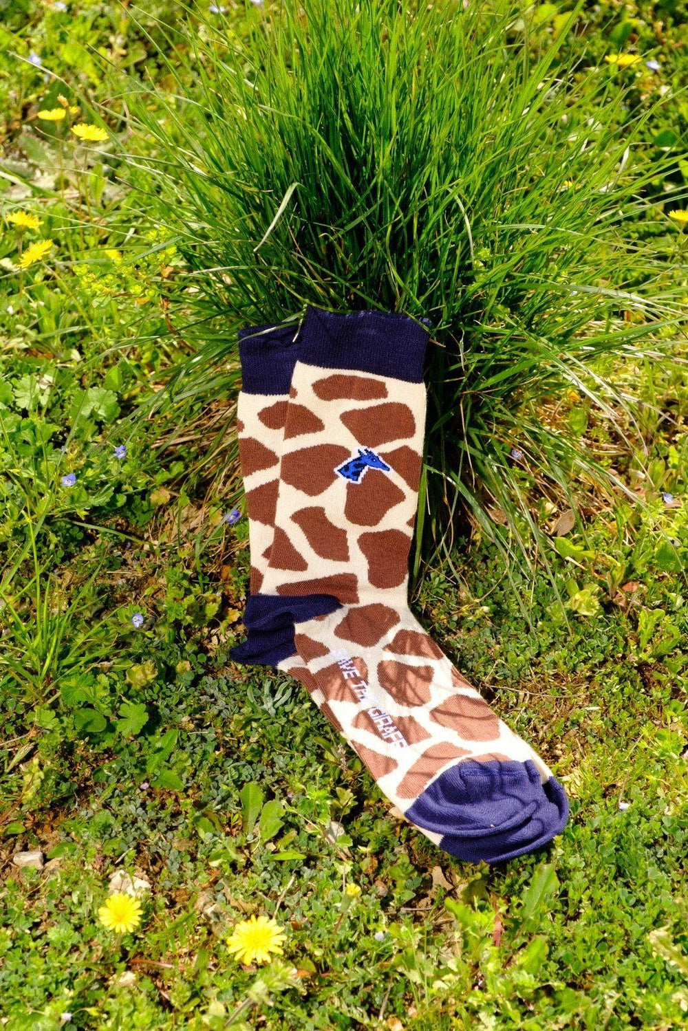 paire-chaussettes-girafe-herbe