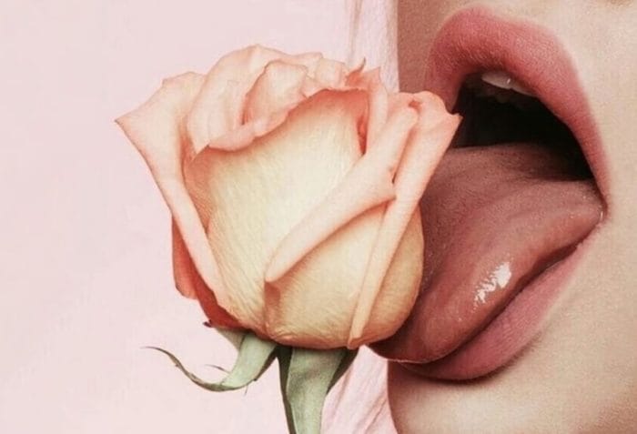 bouche-lèche-rose