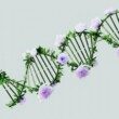brin-adn-fleurs