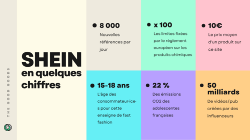 affiche-petition-contre-shein