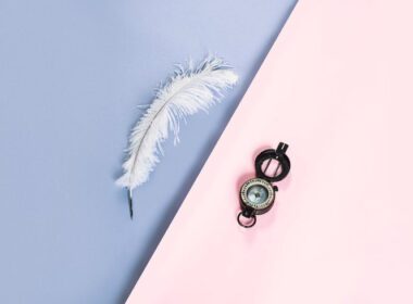 plume-fond-rose-bleu-compas
