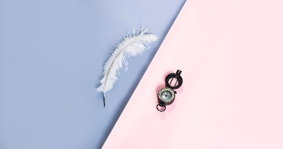 plume-fond-rose-bleu-compas