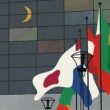 rangée-de-drapeaux-de-membres-de-l-union-européenne