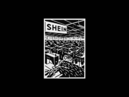 graphisme SHEIN cover action aid