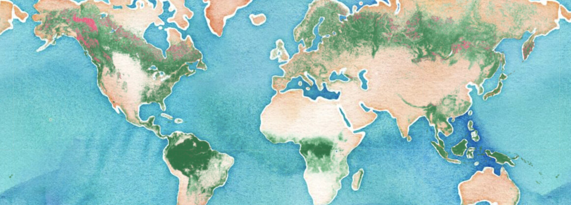 carte-du-monde-aquarelle