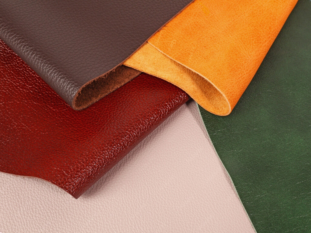 plusieurs-lambeaux-de-cuir