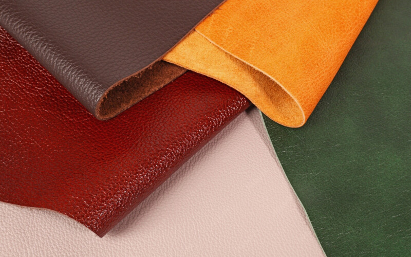 plusieurs-lambeaux-de-cuir