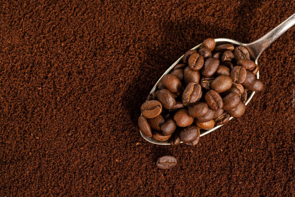 graines-de-cafe