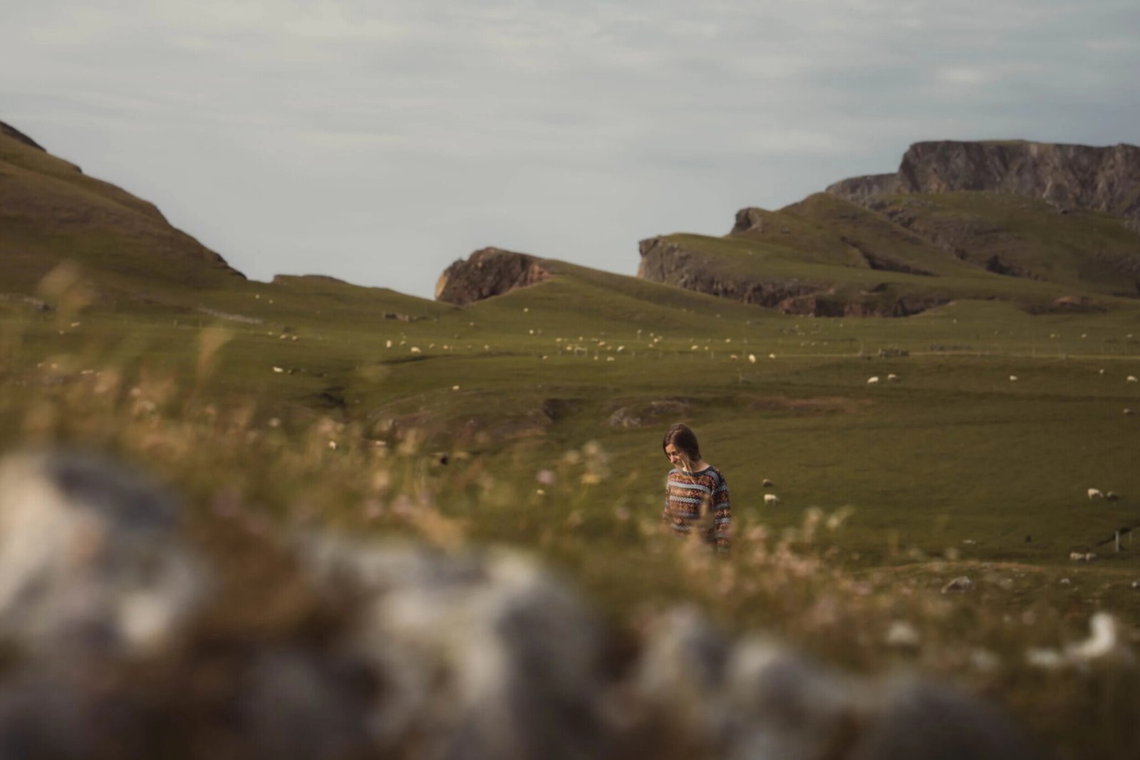 paysage-ile-de-fair-isle